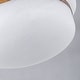 preview thumbnail 10 of 10, 15'' W 3-Light Frosted Opal Glass Semi Flush Mount