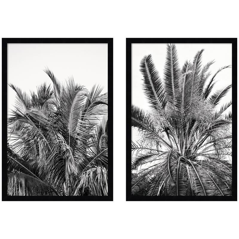 Kate and Laurel Palm No. 13 & 15 2 Piece Framed Wall Art Print Set by Alicia Bock - 2 Piece Set 17x25 - Black