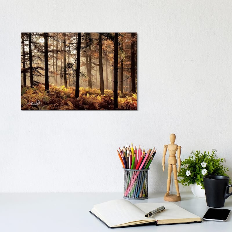 iCanvas "Fern Forest" by Martin Podt Canvas Print - 8x12x0.75
