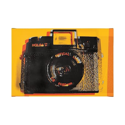 Holga Hue (45 x 30) Canvas Art Print