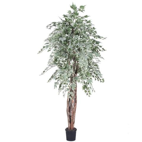 Vickerman 6' Artificial Silver Maple Executive, Black Plastic Pot
