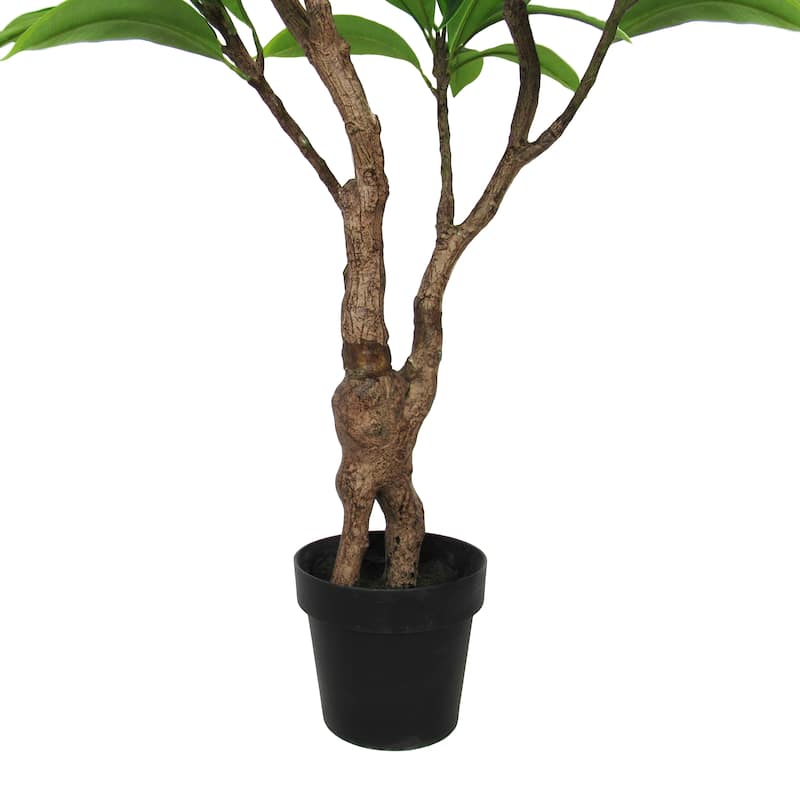 4ft Cream Artificial Plumeria Flower Tree Tropical Plant in Black Pot - 48" H x 36" W x 27" DP