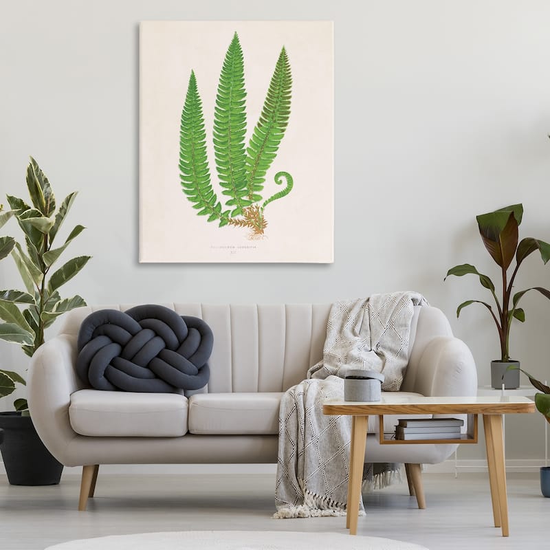 Stupell Natural Fern Branch Trio Canvas Wall Art Design By Phillipa Katz