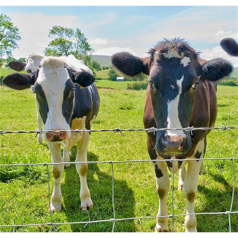Heavy-Duty Farm Fence for Cattle, Hog, & Livestock Enclosures