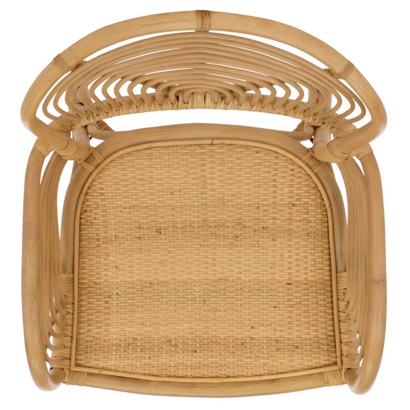 SAFAVIEH Home Rimma Rattan Arm Chair (Set of 2) - 22"W x 23"D x 36"H