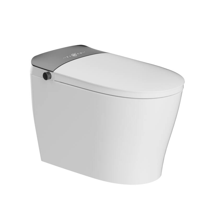 Smart Toilet with Built In Tank, One Piece Bidet Toilet - Warm Water, Heated Seat, Foam Shield, Auto Flush, Blackout Flush