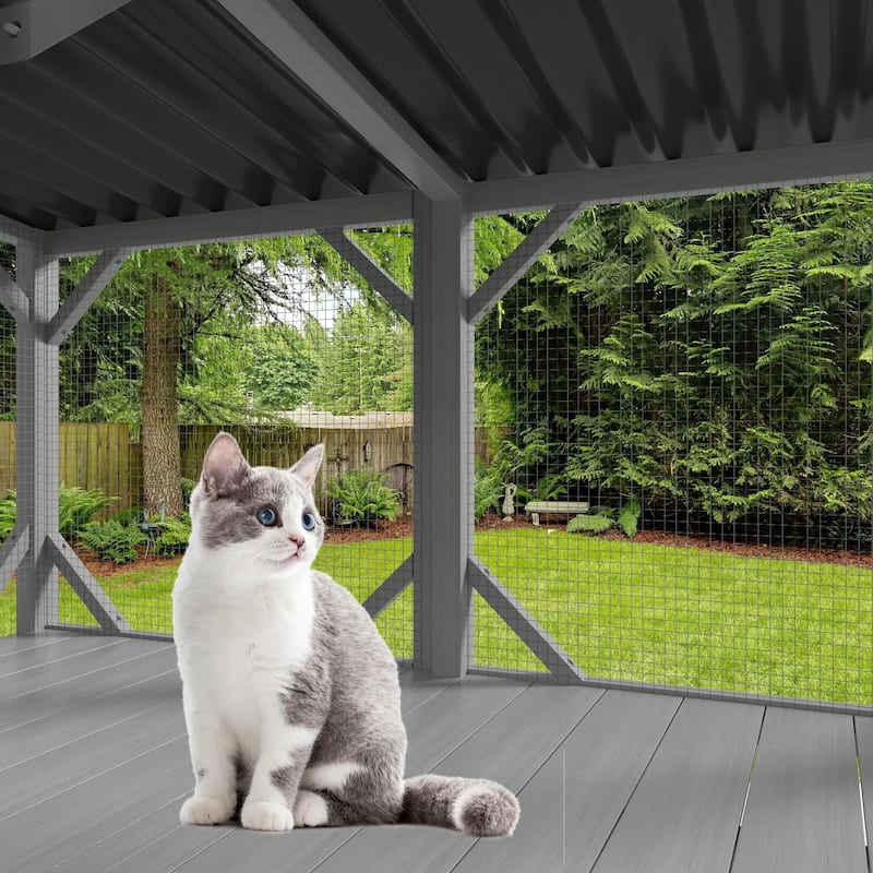 Cat Window Perch for Large Indoor Cats for Sunbathing Napping Overlooking