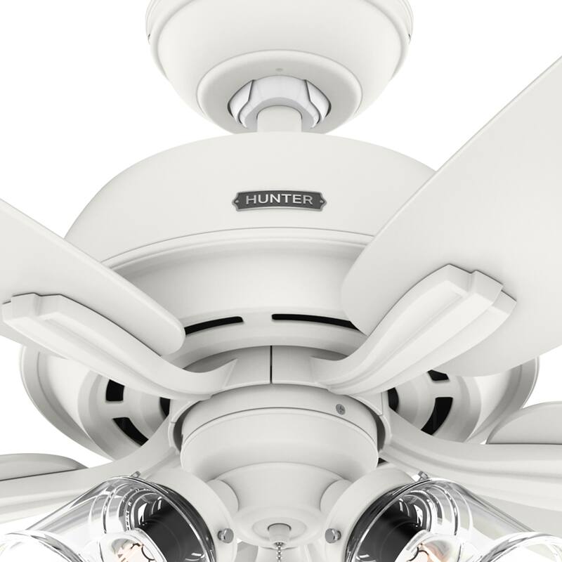 Hunter 60" Dondra Ceiling Fan with LED Light Kit and Pull Chain, Formal, Transitional