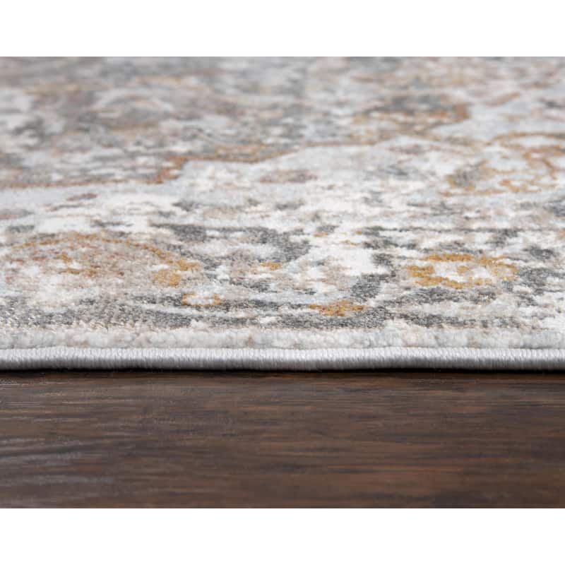 Alora Decor Lavish Transitional Medallion Accent Rug