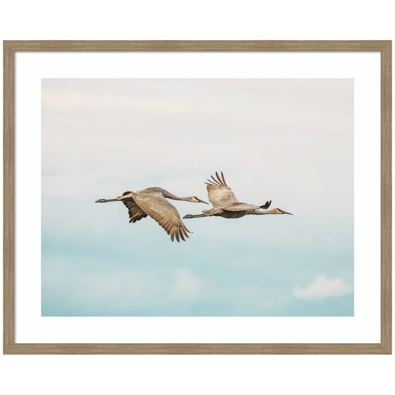 Kate and Laurel Cranes Flying by Emiko and Mark Franzen F2 Images Framed Wall Art Print - 42 x 34 - Brown