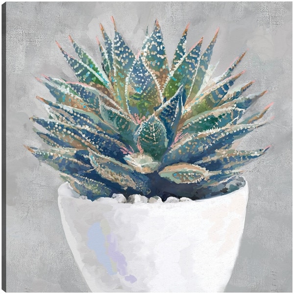 Potted Succulent I By Studio Arts Canvas Art Print - 20x20