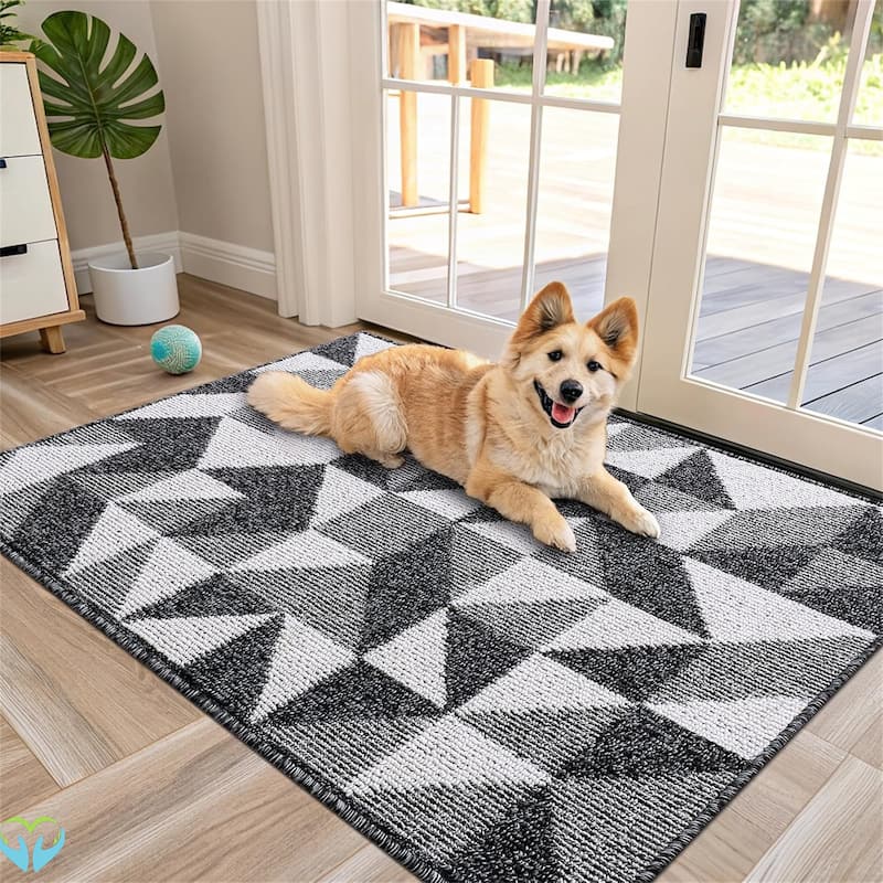 2 pack-Door Mat Indoor Entrance Washable - Black
