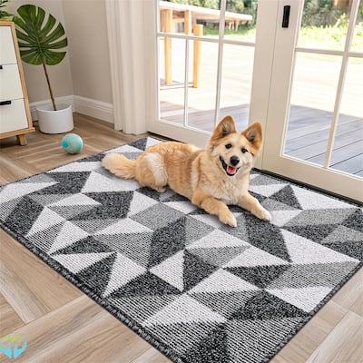 2 pack-Door Mat Indoor Entrance Washable