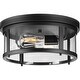 preview thumbnail 1 of 8, Progress Lighting Gunther 2 Light 13" Wide Indoor / Outdoor Flush Matte Black
