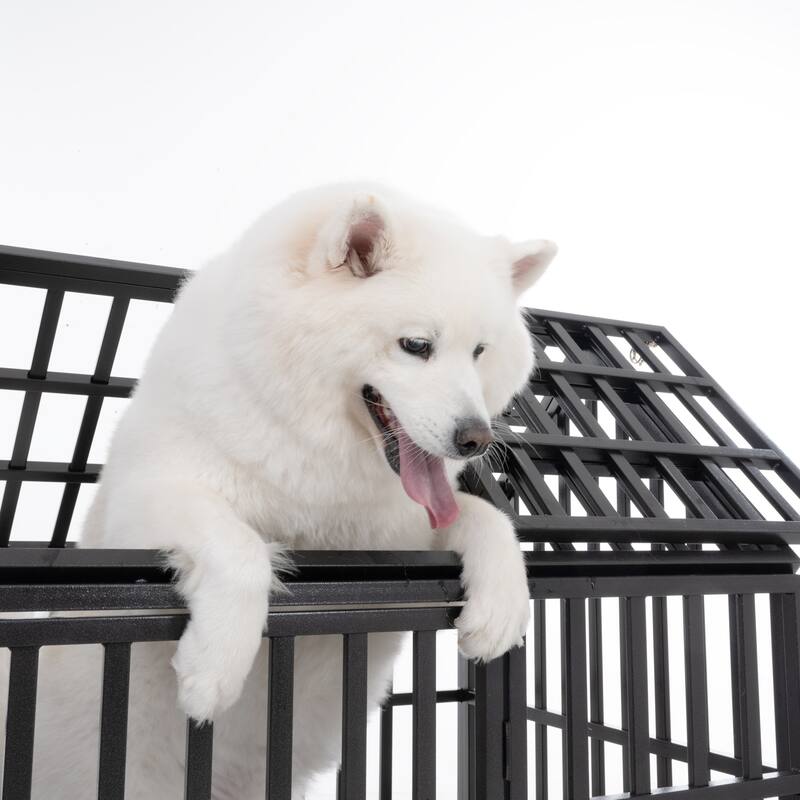 52" Heavy Duty Dog Crate, XL Metal Dog Kennel Cage for Large Dogs, Pet Crate with 2 Door, 4 Lockable Wheels & Removable Tray