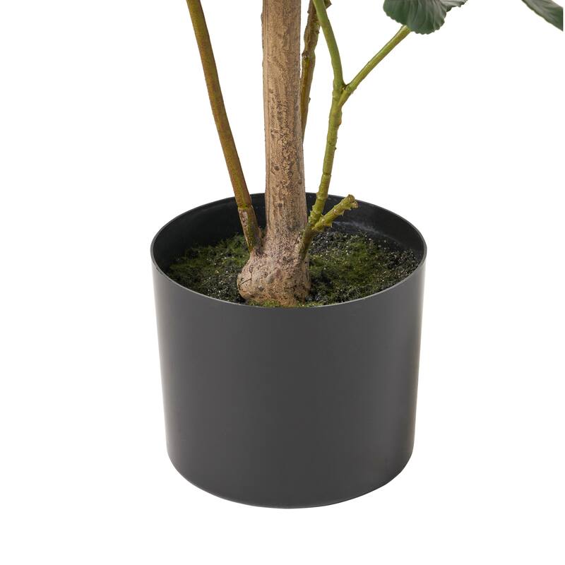 Atoka 5.5' x 2' Artificial Laurel Tree by Christopher Knight Home