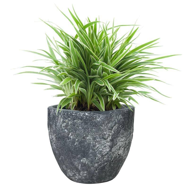 5 inch Ceramic Flower Planter Pot