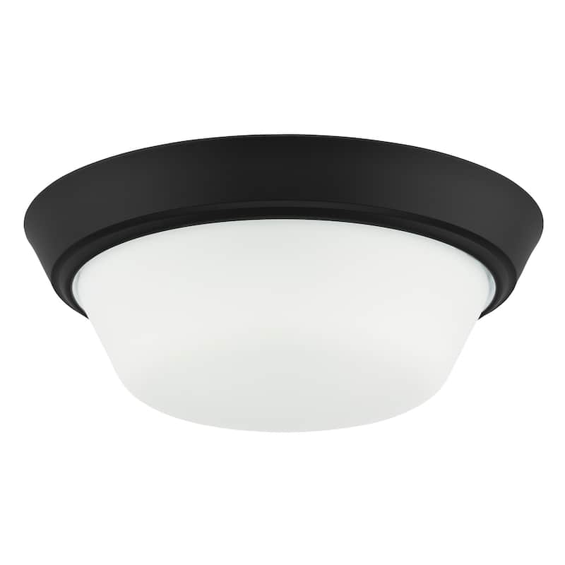 Progress Lighting P350303 Edessa 2 Light 13" Wide Flush Mount Bowl - Black
