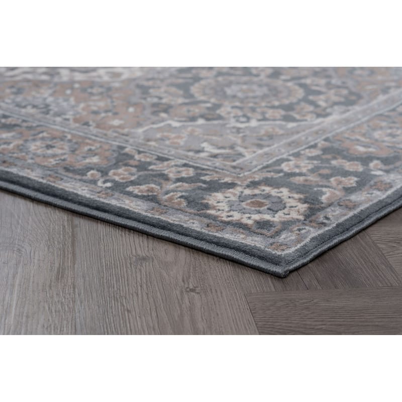 Carrington Traditional Oriental Indoor Area Rug