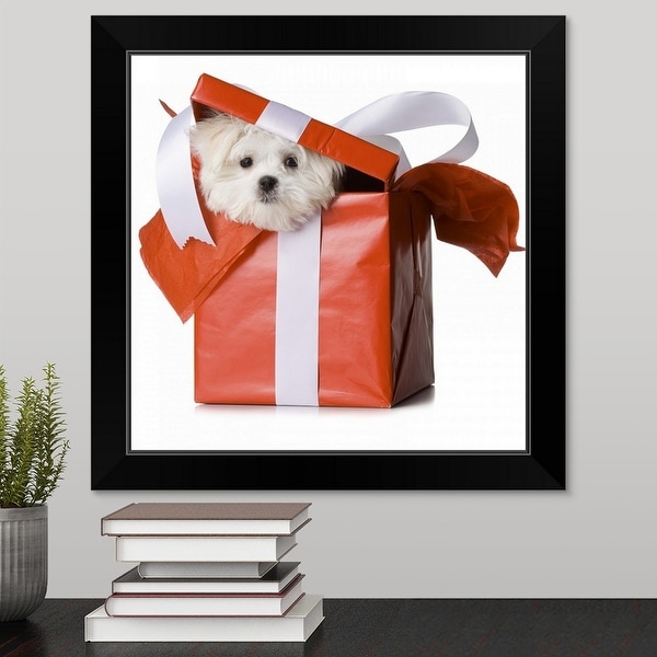"Westie puppy in a box" Black Framed Print