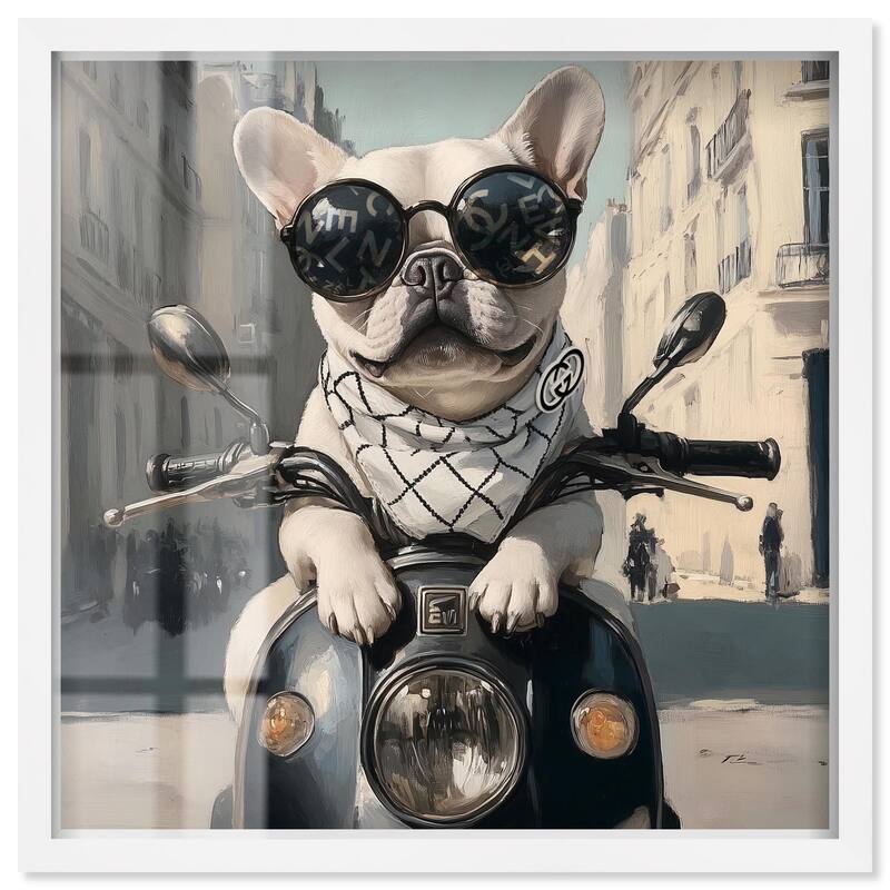 Frenchie on a Scooter Drive Shadowbox by Art Remedy - White - 24" x 24"
