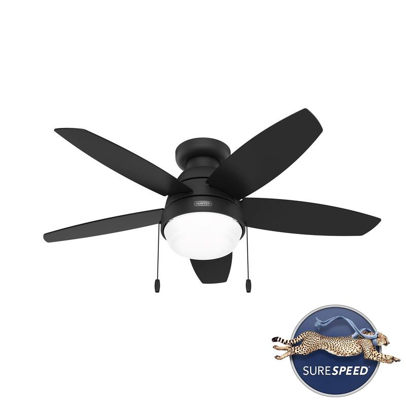 Hunter Lilliana Low Profile Ceiling Fan w/LED Light Kit, Pull Chain, Exclusive SureSpeed - Modern, Transitional