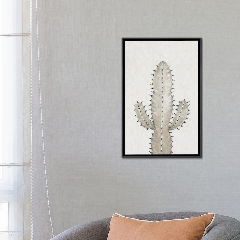iCanvas "Cactus Study I" by Tim OToole Framed