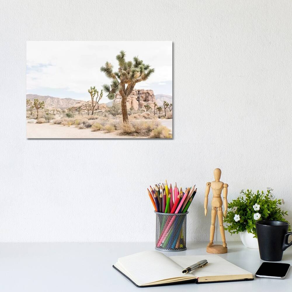 iCanvas "Joshua Tree, Mohave Desert" by lovelylittlehomeco Canvas Print