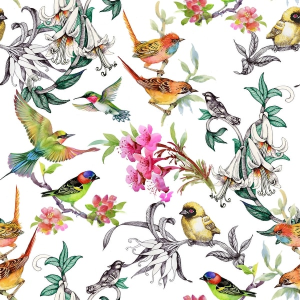 Tropical Birds of Paradise Removable Wallpaper  Shop Now  Tempaper  Co