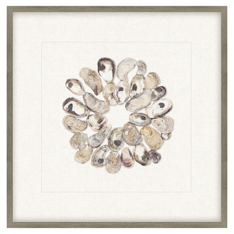Oyster Shell II Framed Exclusive Mixed Under Glass - Multi-Color - 22 X 22 X 3