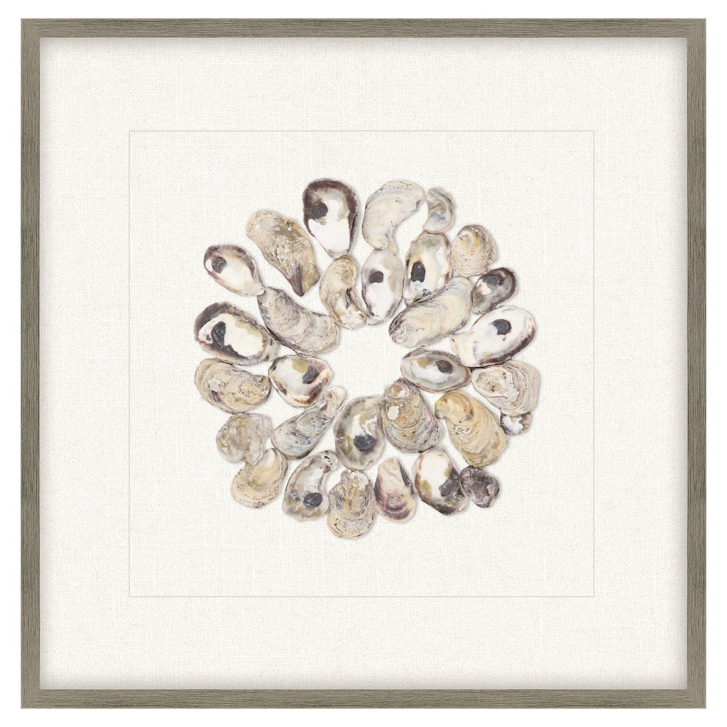 Oyster Shell II Framed Exclusive Mixed Under Glass - Multi-Color