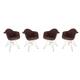 Option Coffee Brown