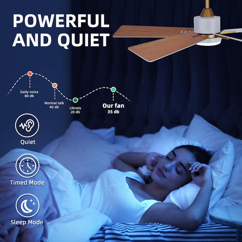 Moasis 52 Inch Dimmable Ceiling Fan with Light Remote and APP Control