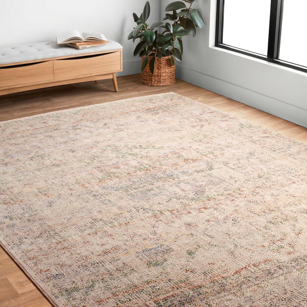 Alexander Home Leah Vintage Shabby Chic Area Rug