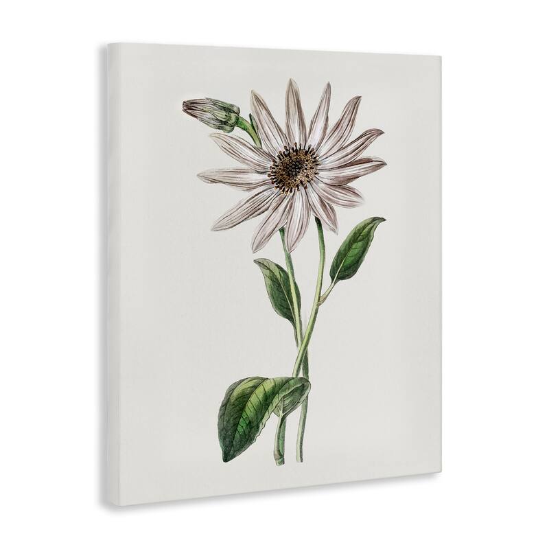 Stupell Vintage Mum Sprig Canvas Wall Art Design By CAD Designs