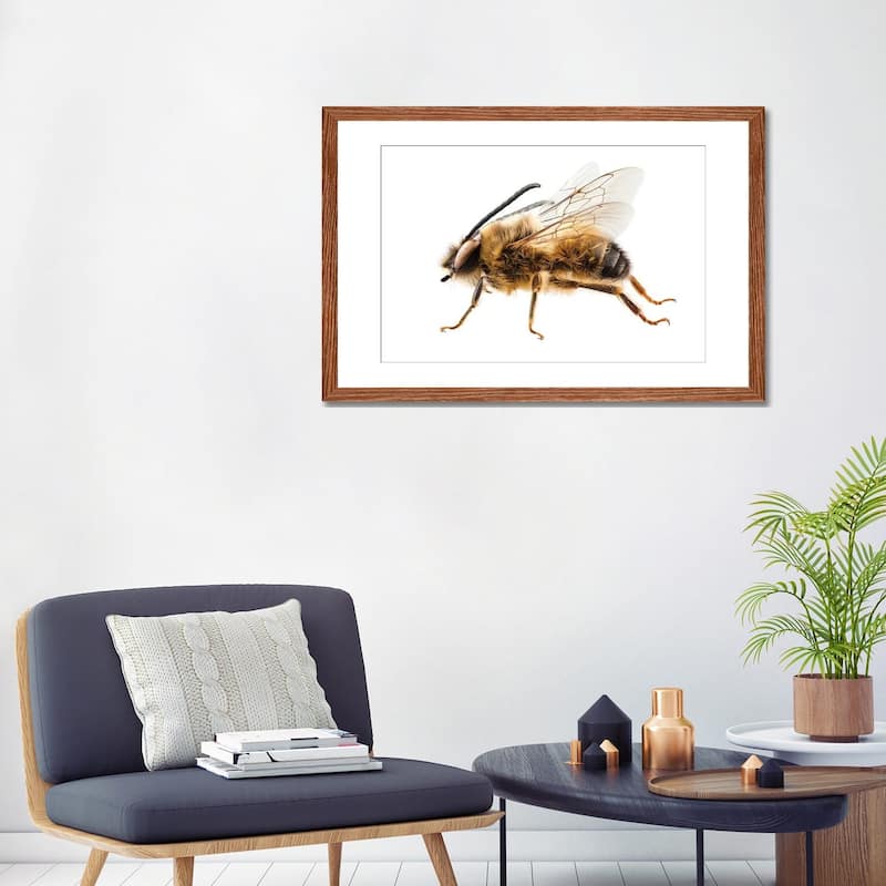 iCanvas "Bee Species Eucera Longicornis Common Name Solitary Miner Bee" by Paul Rommer