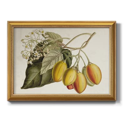 Tropical Foliage & Fruit IV Premium Framed Canvas- Ready to Hang