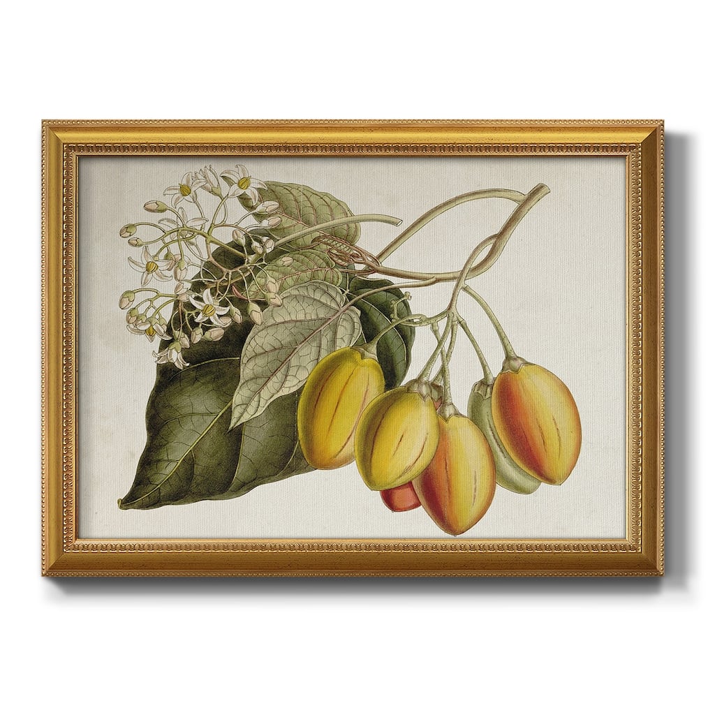 Tropical Foliage & Fruit IV Premium Framed Canvas- Ready to Hang