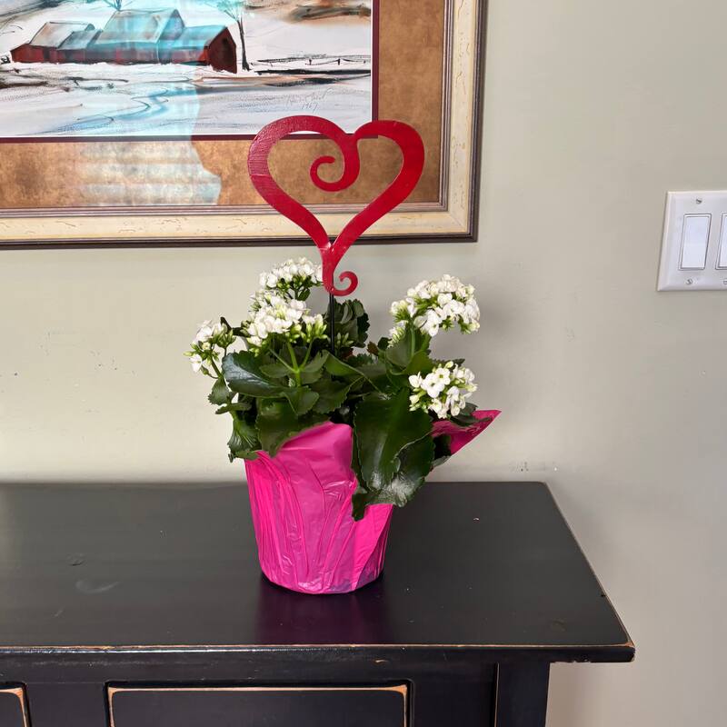 3" Iron Heart on 12" Planter or Garden Floral Stake, Set of 6