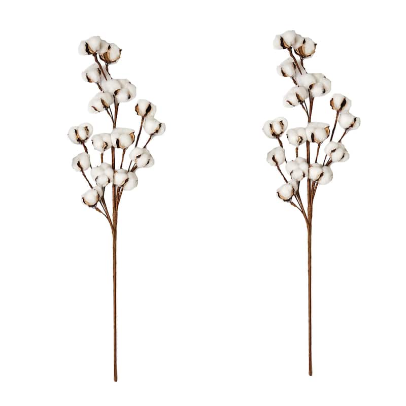 30" Cotton Spray, Set of 2 - Multicolor