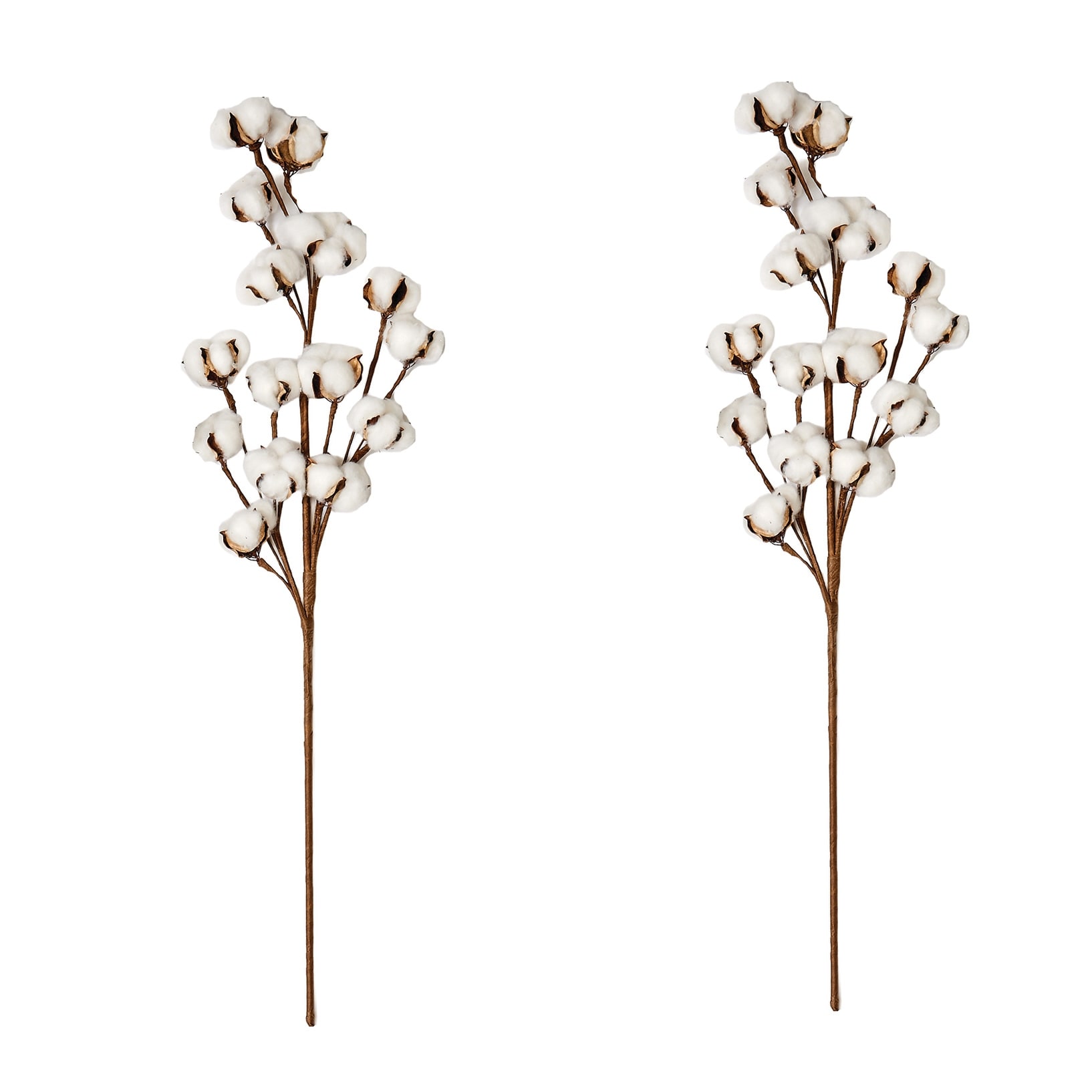 30" Cotton Spray, Set of 2 - Multicolor