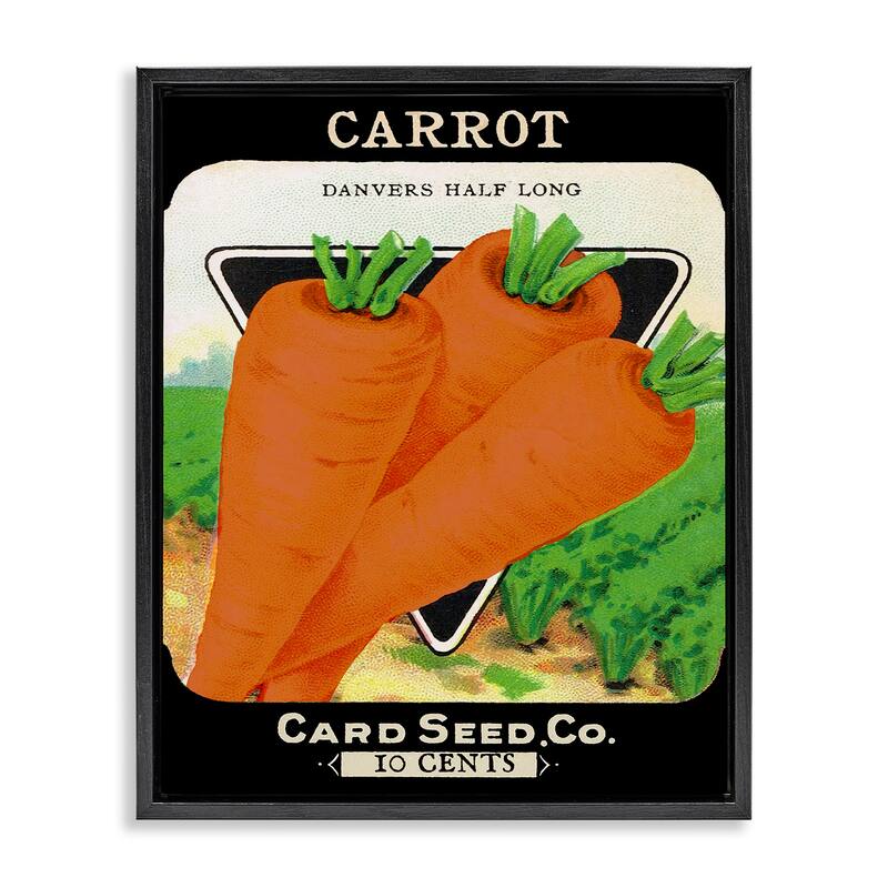 Stupell Vintage Garden Carrots Framed Floater Canvas Wall Art Design By Lil' Rue - 25 x 31 - Black