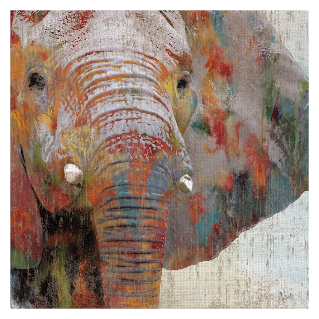 Paint Splash Elephant by Nan Canvas Art Print
