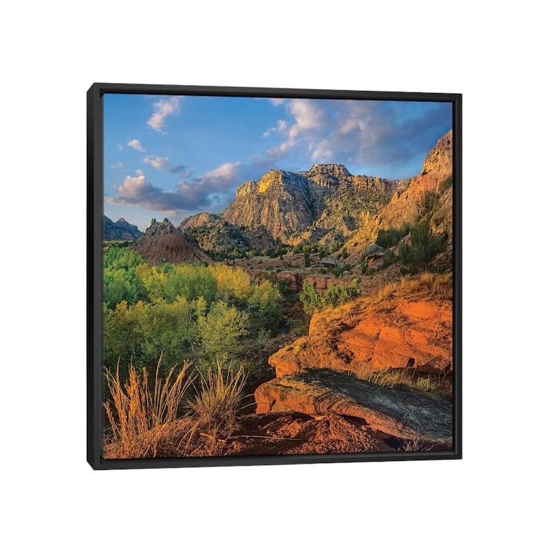 iCanvas "Cottonwood Trees And Mountains, Palo Duro Canyon State Park, Texas" by Tim Fitzharris Framed Canvas Print - Black - 26x26