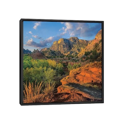 iCanvas "Cottonwood Trees And Mountains, Palo Duro Canyon State Park, Texas" by Tim Fitzharris Framed Canvas Print