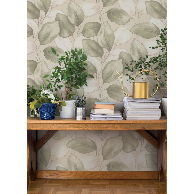 A-Street Prints Evanthe Sage Vine Wallpaper