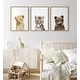 preview thumbnail 2 of 10, Kate and Laurel Sylvie Lions and Tigers and Bears Framed Canvas by Amy Peterson - Gray