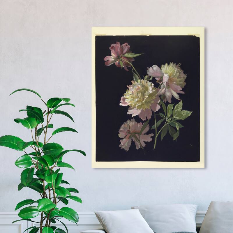 Wynwood Studio Canvas Floral and Botanical Flower Study Peonies Pink and Light Pink Traditional Wall Art Canvas Print - 45 x 36
