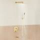 Option Brushed Gold