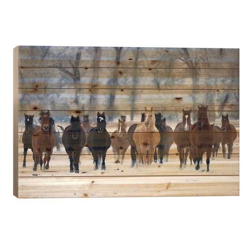 USA, Wyoming, Shell, Horses in the Cold Print On Wood by Hollice Looney - Multi-Color - 26x40x1.5